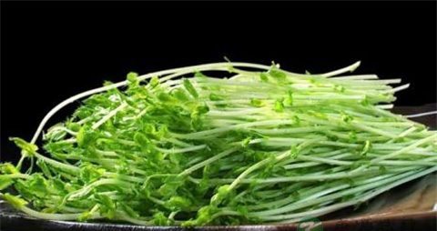 豌豆芽的吃法_哪些人不能吃豌豆芽