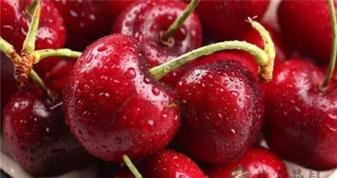 新鲜车厘子怎么保存