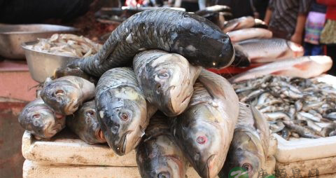 鱼怎么做才入味 鱼怎么做才入味