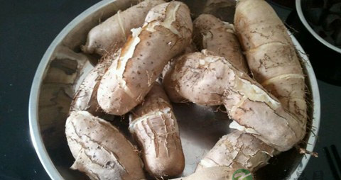 毛薯的营养价值_吃毛薯的好处