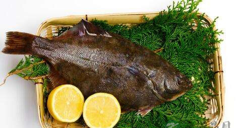 凸眼鱼的营养价值_吃凸眼鱼的好处