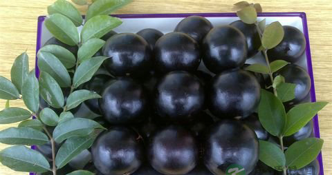 嘉宝果的吃法_哪些人不能吃嘉宝果