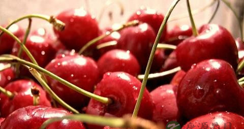 樱桃怎么吃才不酸 樱桃怎么吃才不酸