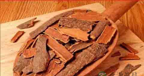 桂皮的吃法_哪些人不能吃桂皮