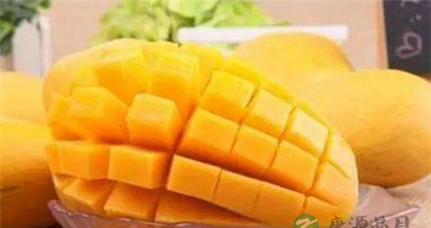 芒果怎么保存没那么快熟 芒果怎么保存没那么快熟