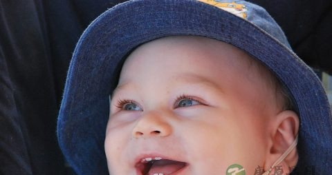 包粽子的材料 包粽子的材料