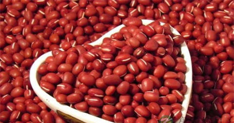 红豆的营养价值_吃红豆的好处