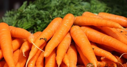 红萝卜和什么煲汤 红萝卜和什么煲汤