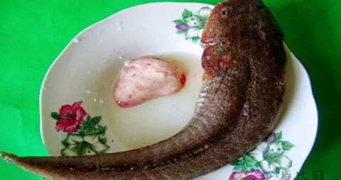 辫子鱼的营养价值_吃辫子鱼的好处