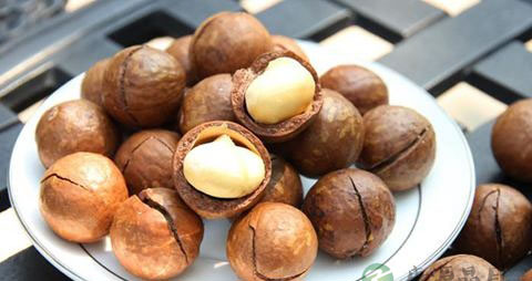 夏威夷果没有开果器怎么开 夏威夷果没有开果器怎么开