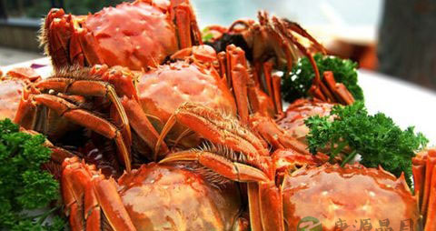 吃剩的螃蟹怎么保存