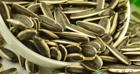 长期吃瓜子好吗 长期吃瓜子好吗