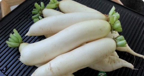 萝卜怎么腌制咸菜好吃 萝卜怎么腌制咸菜好吃