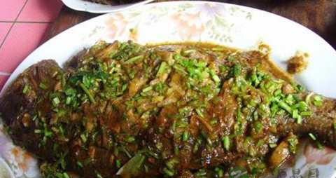 加吉鱼的吃法_哪些人不能吃加吉鱼 加吉鱼的吃法_哪些人不能吃加吉鱼