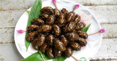 知了猴怎么保存不变黑