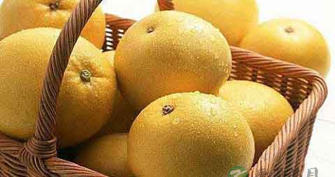 冬果梨的营养价值_吃冬果梨的好处 冬果梨的营养价值_吃冬果梨的好处