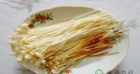 金针菇需要焯水吗