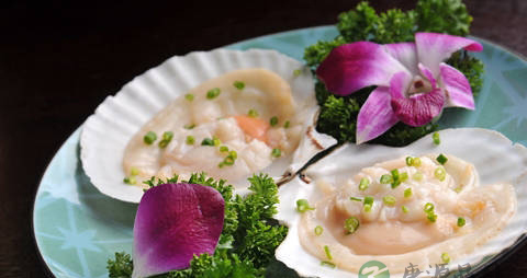 扇贝怎么洗比较干净