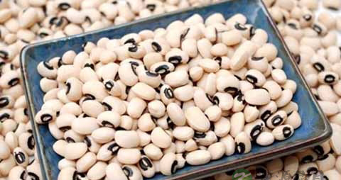 白豆的营养价值_吃白豆的好处