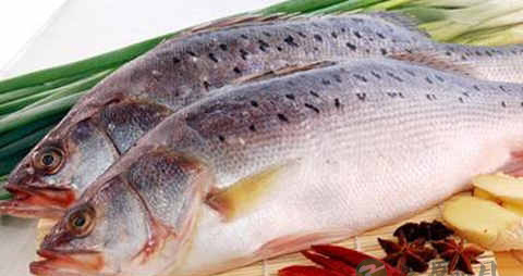 鲈花的吃法_哪些人不能吃鲈花 鲈花的吃法_哪些人不能吃鲈花