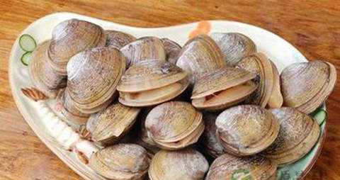 麻蚬子的营养价值_吃麻蚬子的好处