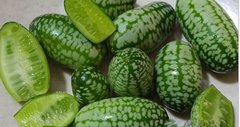 小西瓜的吃法_哪些人不能吃小西瓜