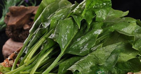 菠菜必须焯水吗