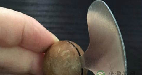 夏威夷果怎么打开