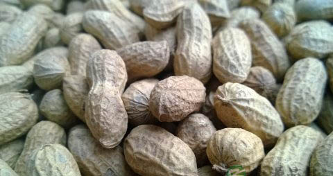 带壳花生怎么煮好吃