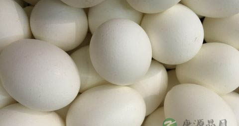 鹅蛋怎么腌制流油