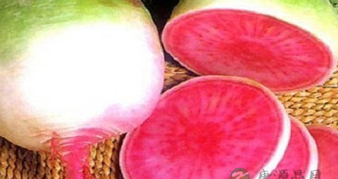 心里美萝卜的营养价值_吃心里美萝卜的好处 心里美萝卜的营养价值_吃心里美萝卜的好处