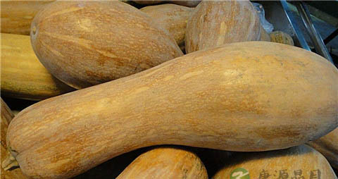 老南瓜的功效与作用