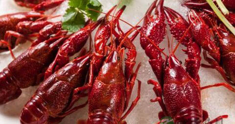 小龙虾的正确吃法 小龙虾的正确吃法