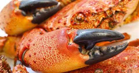 吃螃蟹配什么酒 吃螃蟹配什么酒