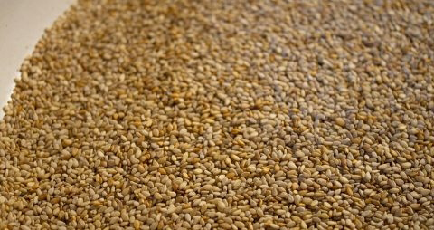 芝麻酱的热量是多少