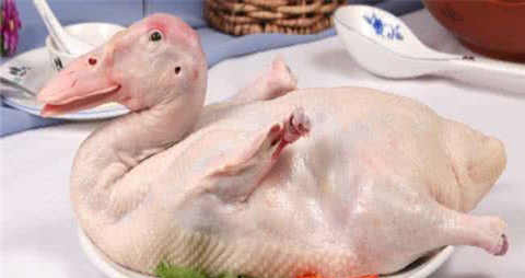 鸭子需要焯水吗