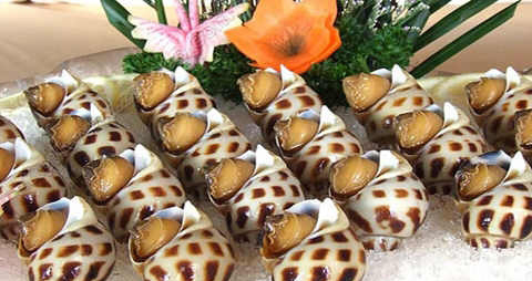 东风螺的吃法_哪些人不能吃东风螺