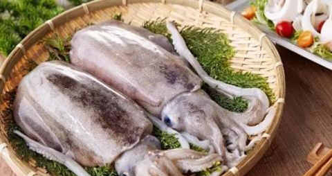 枪乌贼的吃法_哪些人不能吃枪乌贼