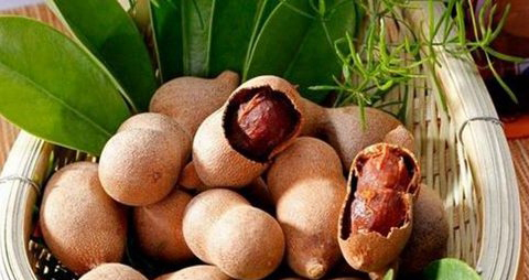 酸角的营养价值_吃酸角的好处