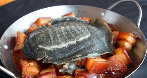 鳖的吃法_哪些人不能吃鳖