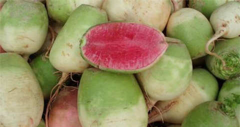 心里美萝卜的吃法_哪些人不能吃心里美萝卜 心里美萝卜的吃法_哪些人不能吃心里美萝卜