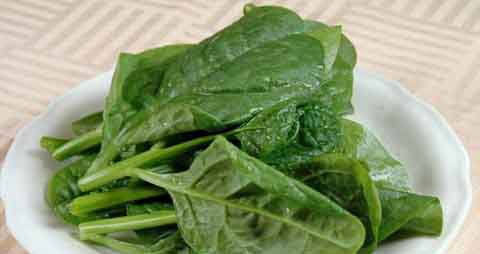 木耳菜的吃法_哪些人不能吃木耳菜 木耳菜的吃法_哪些人不能吃木耳菜