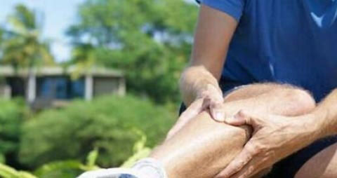 番石榴叶是番泻叶吗 番石榴叶是番泻叶吗