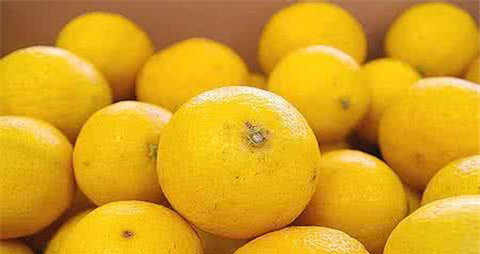 喝少量啤酒能减肥吗 喝少量啤酒能减肥吗