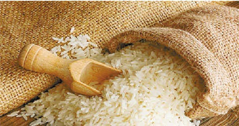 大米的种类 大米的种类