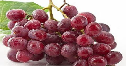 提子上的白霜能吃吗 提子上的白霜能吃吗