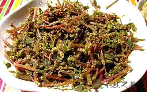 结籽的马齿苋能吃吗 结籽的马齿苋能吃吗