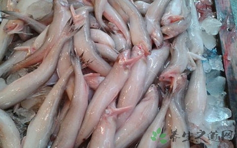 豆腐鱼的吃法_哪些人不能吃豆腐鱼