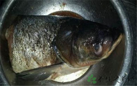 鲢鱼头的营养价值_吃鲢鱼头的好处