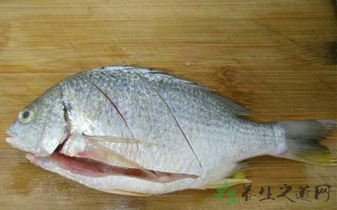白姑鱼的营养价值_吃白姑鱼的好处